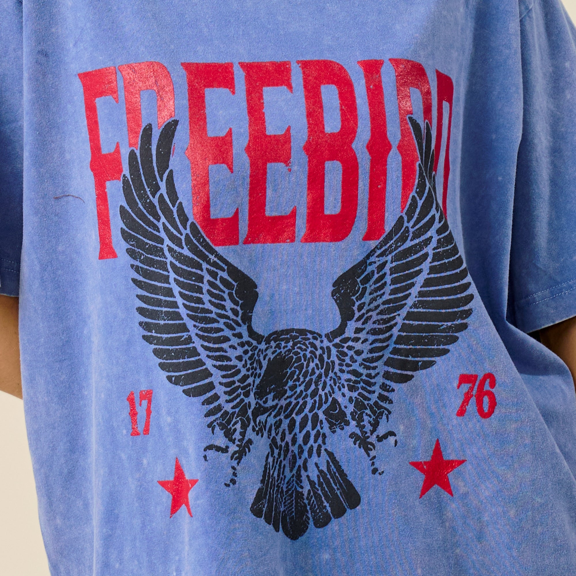 Vintage Freedom Eagle Oversized Graphic Tee